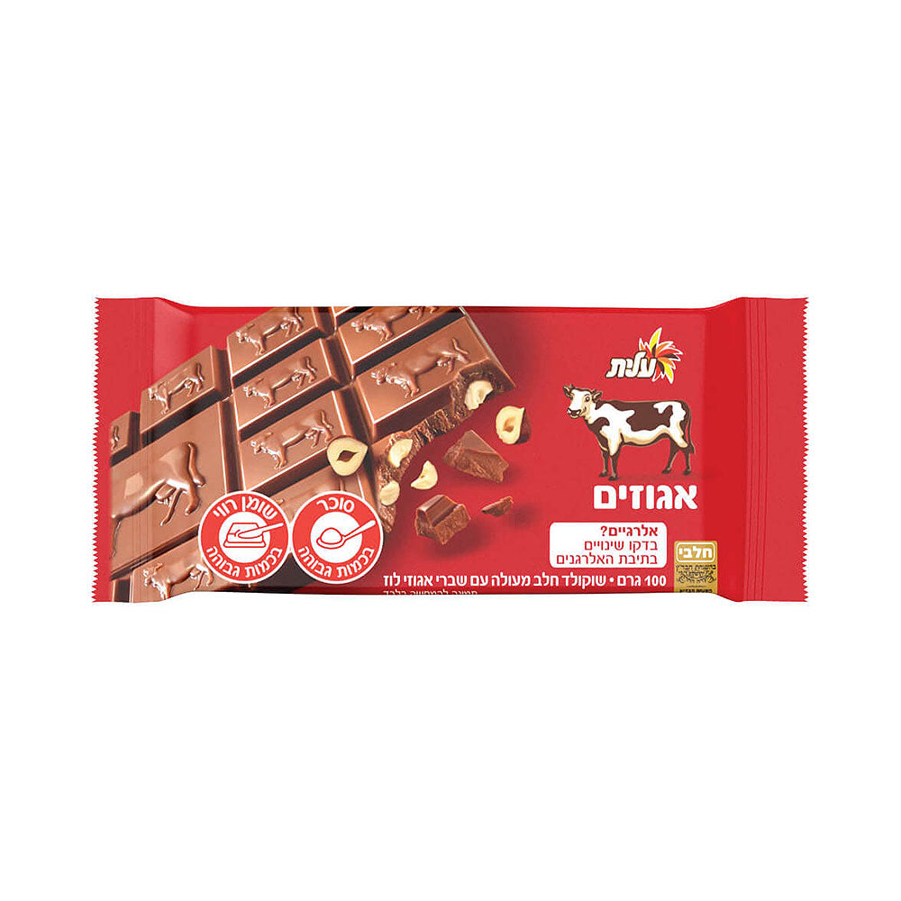 Elite Milk Chocolate Bar With Hazelnut 100gr